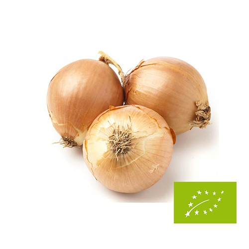 Cebula eko 1kg bio-eko